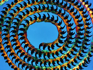 Illustration for article titled Remarkable Nikon Small World Microscope Photography Winners